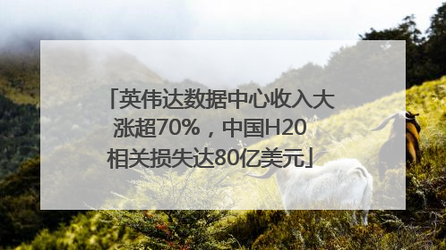 英伟达数据中心收入大涨超70%，中国H20相关损失达80亿美元